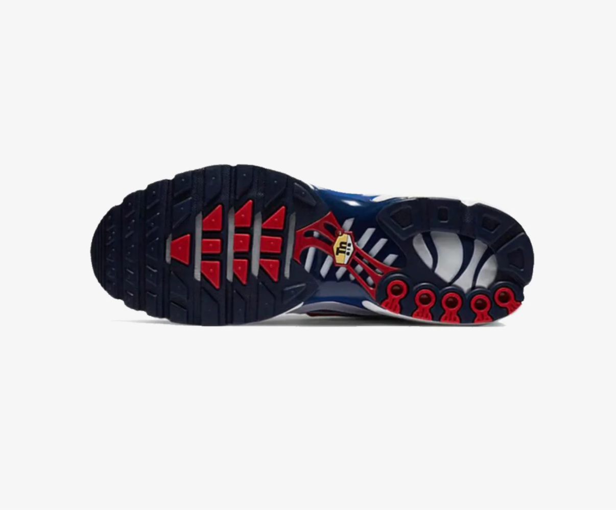 NIKE AIR MAX PLUS
EURO TOUR