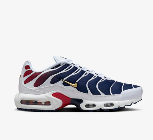 AIR MAX PLUS PSG